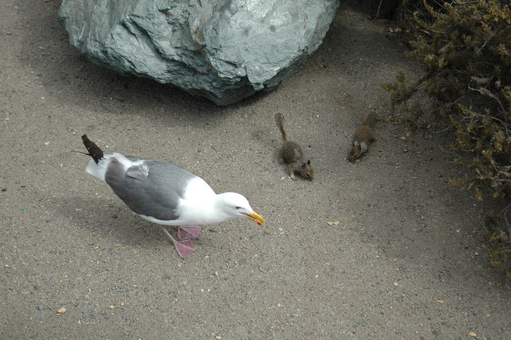 Especially the little guys were well accustomed to feeding tourists