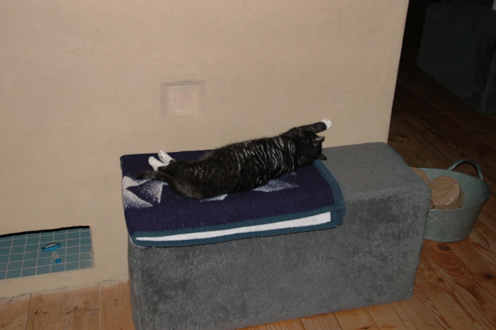 Linus measuring the oven temperature