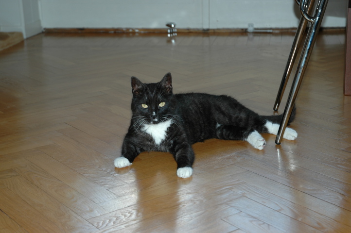 Back in Malm&ouml; & reunited with Linus!